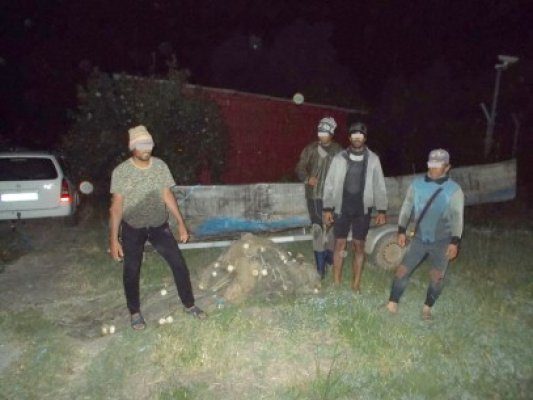 Două ambarcaţiuni cu motor şi plase de pescuit, confiscate de frontierişti